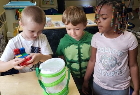 pre k butterfly hatching